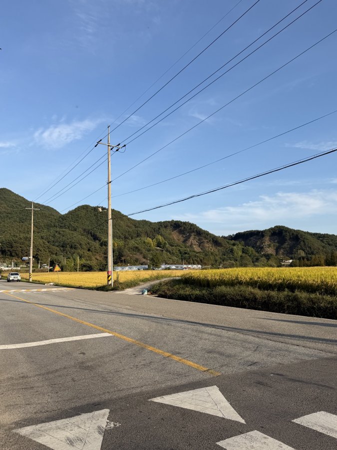 Photograph 3, Ulsan, South Korea, October 13, 2026
