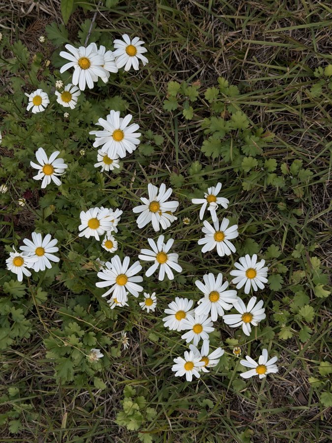 Photograph 37, Ulsan, South Korea, October 13, 2026