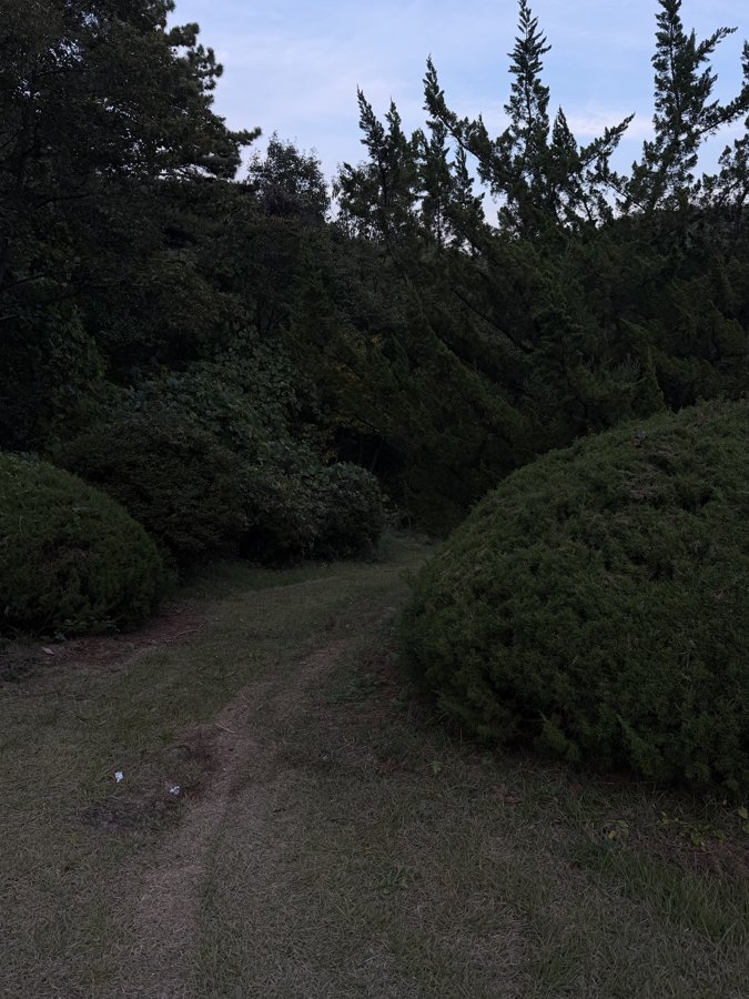 Photograph 39, Ulsan, South Korea, October 13, 2026